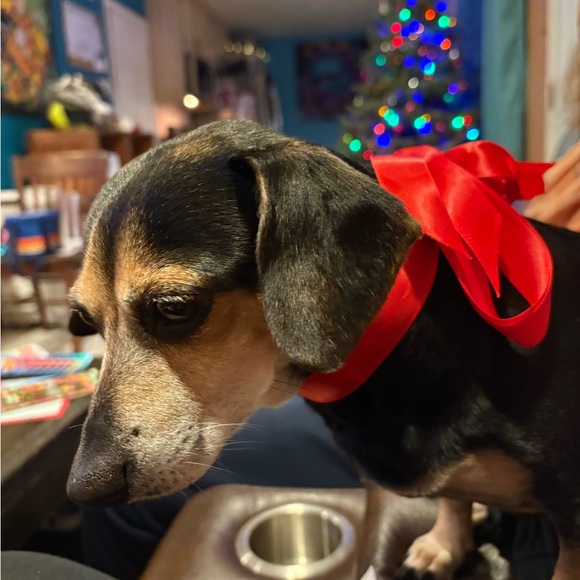 🛍 Posh Ambassador 🛍 Meet your Posher, Jessica ☀️ - Picture 2 of 8